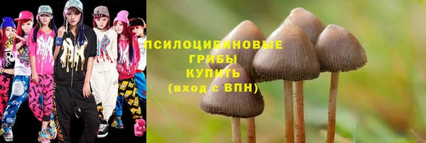молекула духа Алексеевка