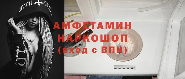 стаф Алзамай