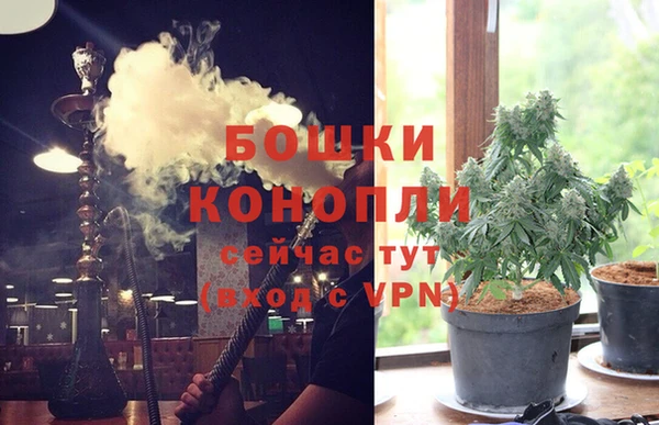 шишки Алексин