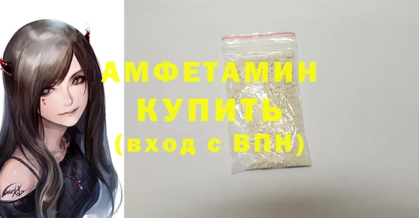 стаф Алзамай