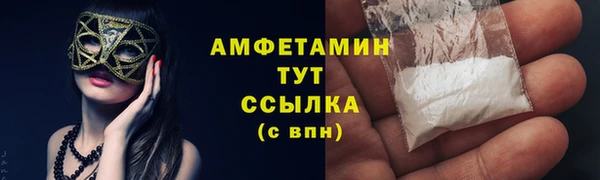 стаф Алзамай