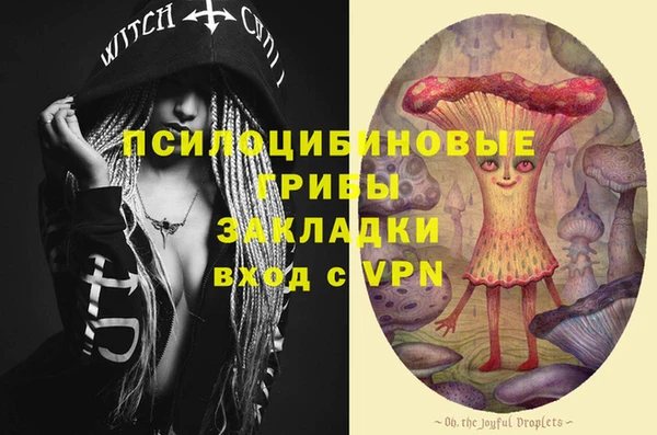 шишки Алексин
