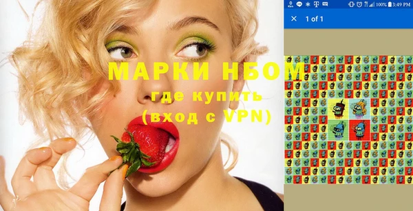 шишки Алексин