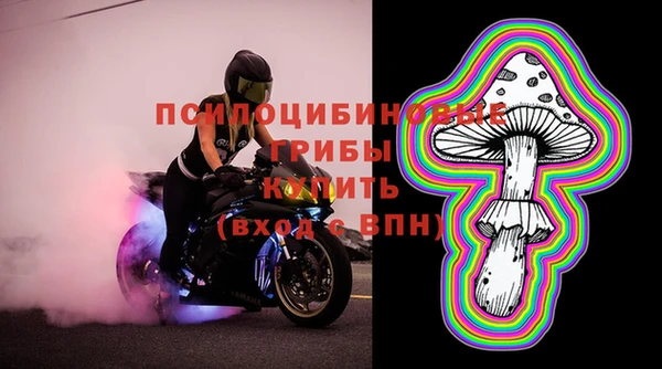 молекула духа Алексеевка
