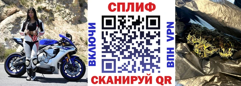 Каннабис сатива  Безенчук 